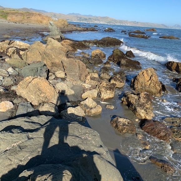 Meet your Posher, Nori - Picture 8 of 9